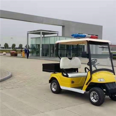 6、电动高尔夫车